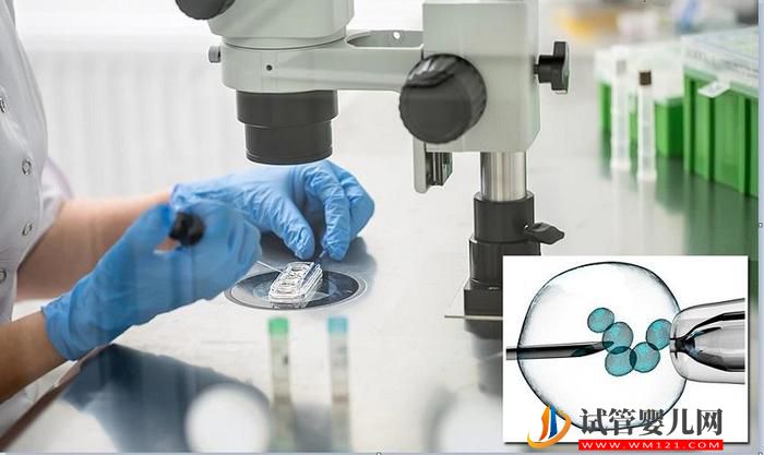 為何選擇去澳大利亞做試管嬰兒？(圖1)