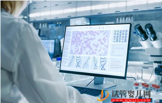 果洛同卵雙胎親子鑒定大概要多久出結果(圖1)