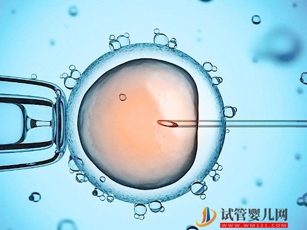 單身可以去越南做試管嬰兒嗎？(圖1)