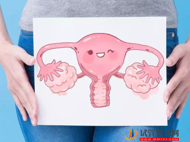 高齡備孕調理身體最佳方案，夫妻雙方這么做能快速懷孕(圖1)