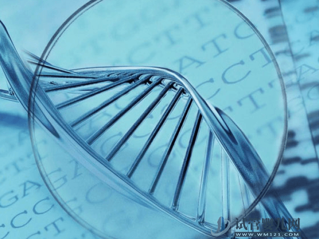 胎兒20號(hào)染色體片段缺失會(huì)面臨哪些危害?(圖1) 胎兒20號(hào)染色體片段缺失會(huì)面臨哪些危害?(圖1)