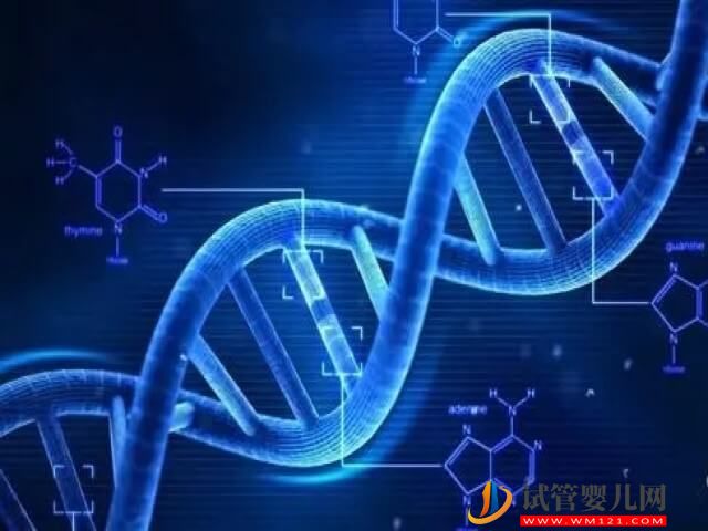 無創(chuàng)dna發(fā)現(xiàn)胚胎20號染色體異常嚴重嗎?(圖1) 無創(chuàng)dna發(fā)現(xiàn)胚胎20號染色體異常嚴重嗎?(圖1)