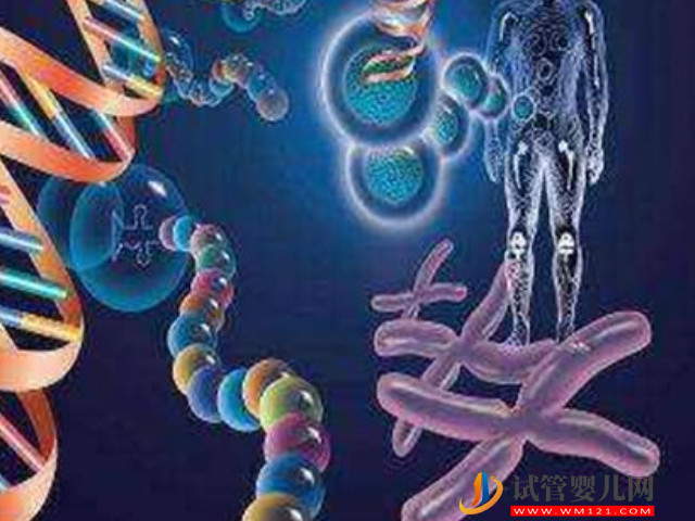 胎兒21號(hào)染色體異常是因?yàn)榫佑袉栴}嗎?(圖1) 胎兒21號(hào)染色體異常是因?yàn)榫佑袉栴}嗎?(圖1)