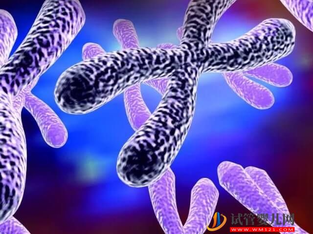 女性1號染色體臂間倒位屬于異常嗎？(圖1)