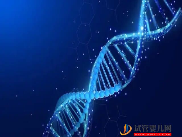 人體內的1號染色體是否是決定了胎兒的智力？(圖1)