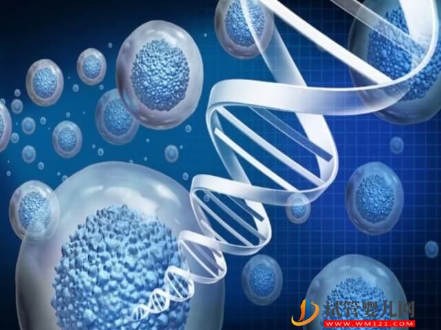 胎兒1號染色體片段重復超過多少mb不能要？(圖1)