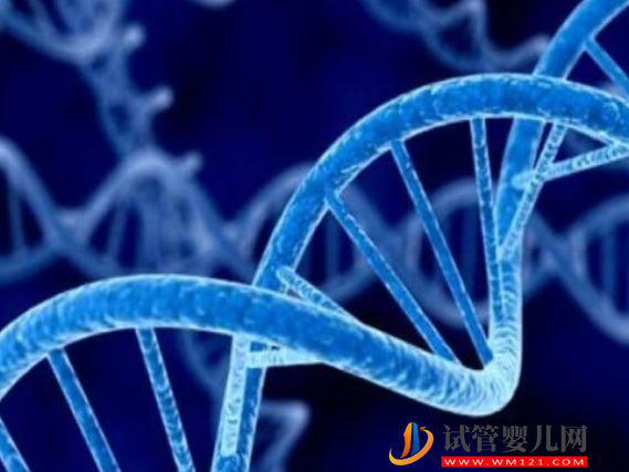 胎兒1號染色體和6號平衡易位有辦法解決嗎？(圖1)