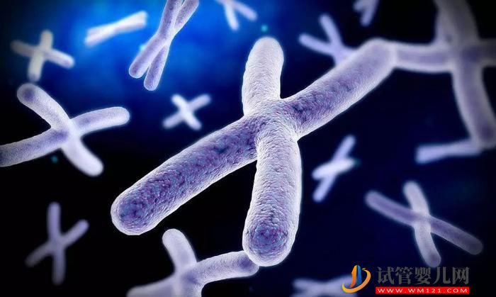 最后一塊基因“拼圖”揭開哪些生命謎團(圖1) 最后一塊基因“拼圖”揭開哪些生命謎團(圖1)