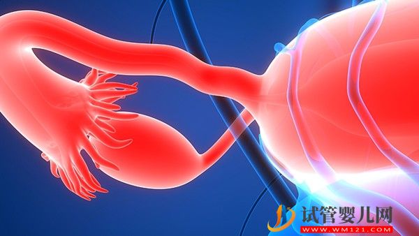 什么是卵巢囊泡卵巢囊泡有什么危害(圖1)