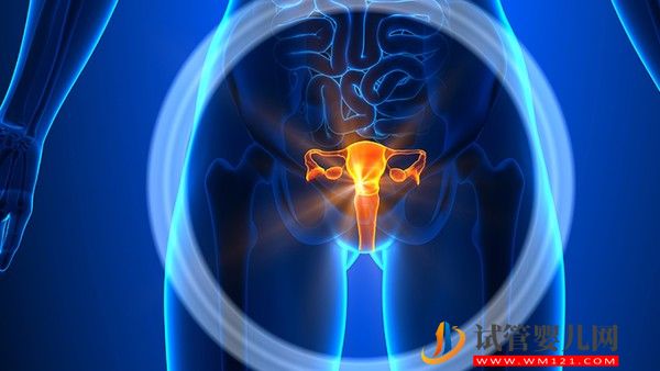 什么是卵巢囊泡卵巢囊泡有什么危害(圖3)