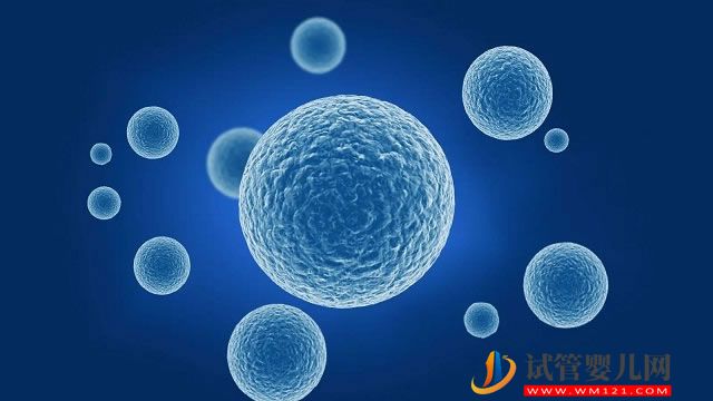 男性不育常見病一覽，輸精管阻塞占不孕人群的30%(圖1)