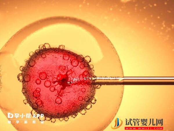 胚胎移植前注意事項清單，千萬別忘了體檢、謹慎選機構(圖1)