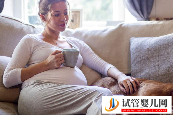 懷孕初期注意事項和飲食禁忌？避免寶寶“偷偷”走掉！(圖1)