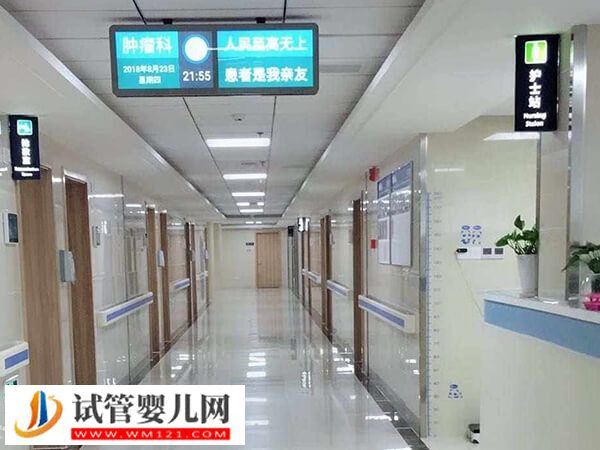 舟山供卵試管嬰兒怎么收費?檢查+胚胎培育和手術(shù)共計4萬(圖1) 舟山供卵試管嬰兒怎么收費?檢查+胚胎培育和手術(shù)共計4萬(圖1)