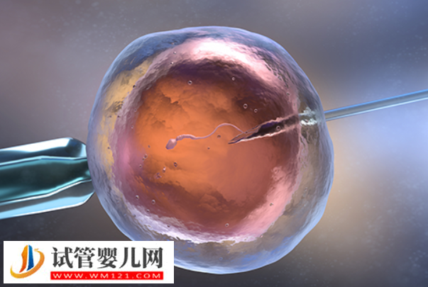 日本做試管嬰兒成功率非常高，擁有先進的科技設備和設施(圖1)