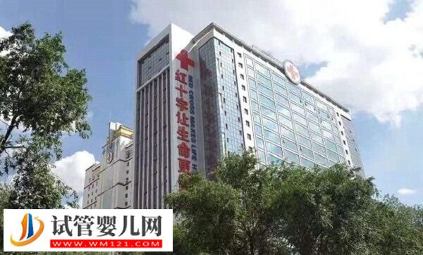 青海紅十字醫院一代試管嬰兒多少錢(圖1)
