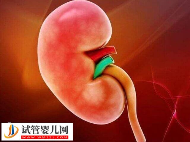 上海率先籌建胎兒醫院 推動產科、兒科融合發展(圖1)