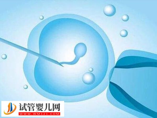 北京協和醫院試管嬰兒成功率(圖1)