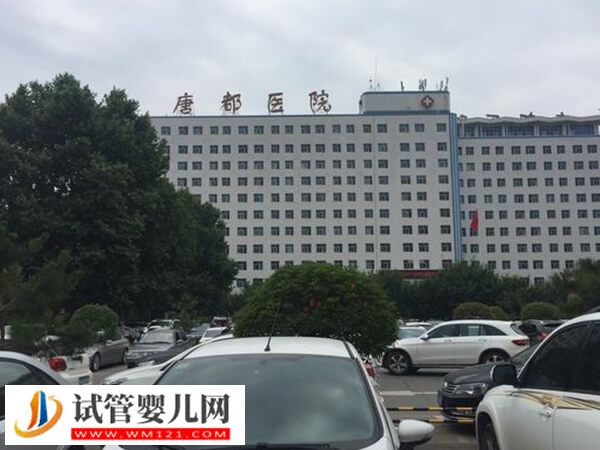 西安唐都醫院供卵三代試管嬰兒導航，讓你助孕不迷路！(圖1)