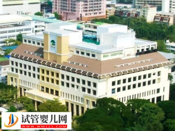 泰國BNH醫院試管嬰兒活產率大公布，15s速知能不能達到100%(圖2)