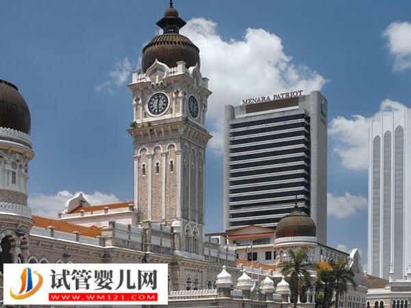 深入解析馬來西亞試管嬰兒優勢，妊娠率不錯是其一(圖1)