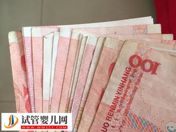 馬來西亞三代試管嬰兒指引手冊，助孕率花費一清二楚(圖1)