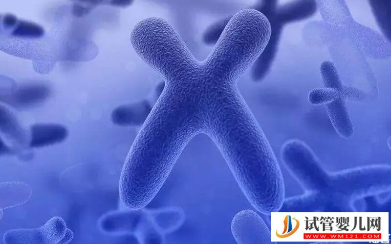 染色體缺失4大原因，遺傳因素只是其中之一(圖2)