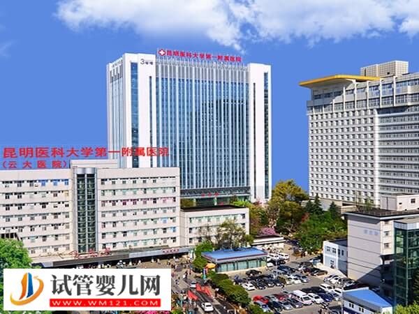 昆明試管嬰兒機(jī)構(gòu)推薦,附具體花銷和選院指南!(圖2) 昆明試管嬰兒機(jī)構(gòu)推薦,附具體花銷和選院指南!(圖2)