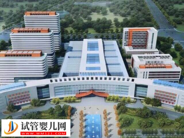 金華試管嬰兒醫院有哪些(圖1)