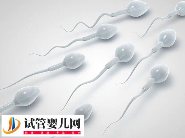 重慶人工授精要多少錢呀(圖1)