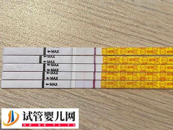 移植4bb囊胚11天為什么白板(圖1)