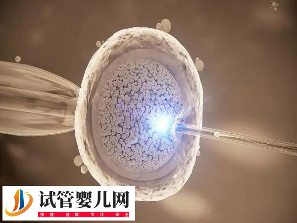 前往北京做試管還是天津比較好(圖1) 前往北京做試管還是天津比較好(圖1)