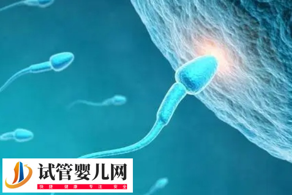 前往北京做試管還是天津比較好(圖2) 前往北京做試管還是天津比較好(圖2)