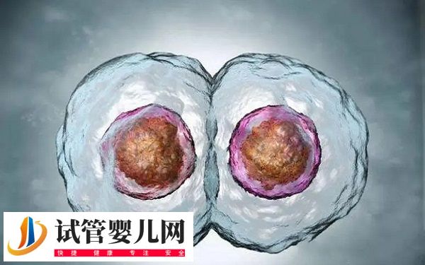 試管降調后還能不能自然懷孕(圖1)