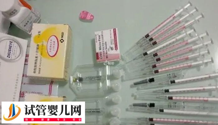 馬來西亞試管超長方案是什么(圖2)