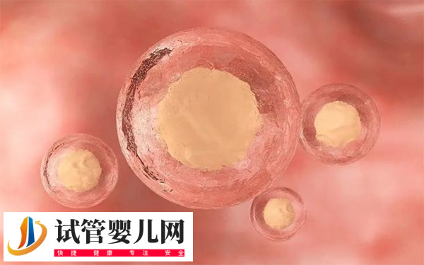 馬來西亞試管超長方案是什么(圖3)