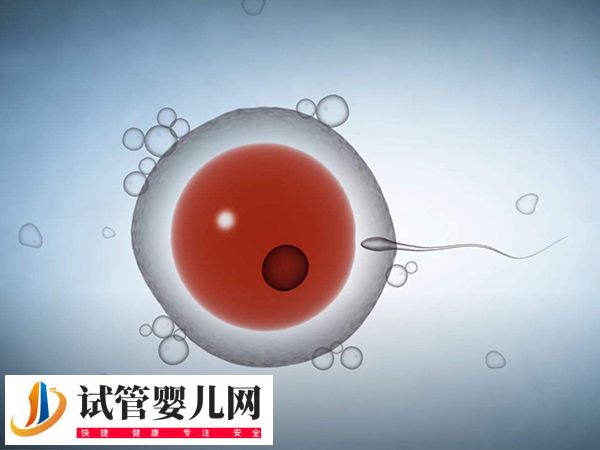 試管促排取卵有啥感覺(圖1)