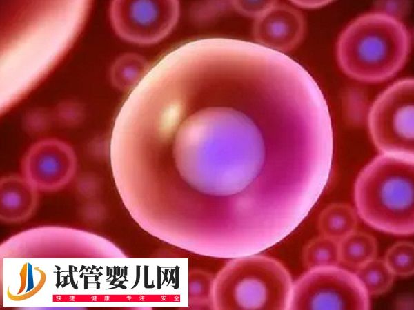 在俄羅斯做試管步驟是什么(圖1)