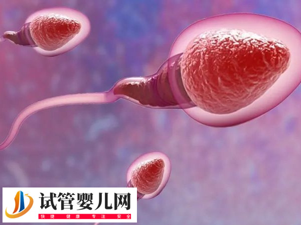 前往江門市中心醫院做試管的技術如何(圖1)