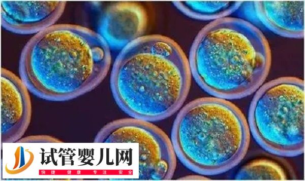 夫妻在茂名人民醫院移植哪種胚胎好(圖2)
