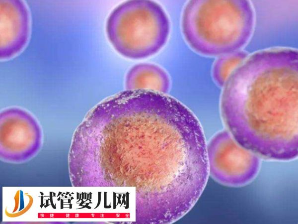 在美國做試管優質胚胎是啥樣的(圖2)