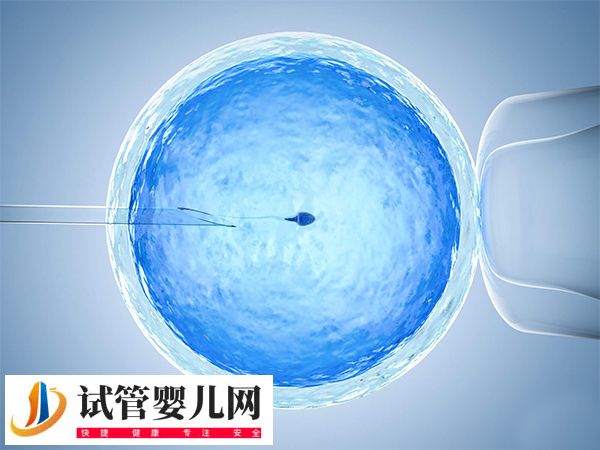 綿陽(yáng)哪里可以做試管嬰兒(圖1) 綿陽(yáng)哪里可以做試管嬰兒(圖1)