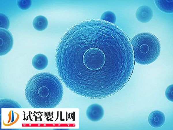 江蘇宿遷能不能做試管嬰兒(圖1)