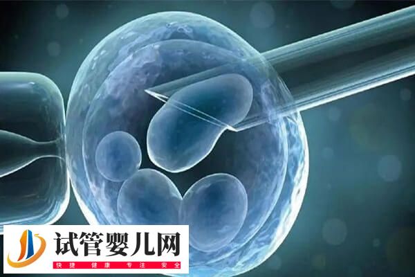 二胎移囊胚是一個還是2個好(圖2)