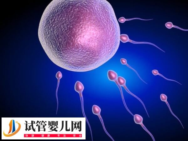 試管移植十六天腰發麻的疼正不正常(圖2)