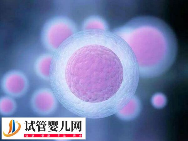 美國四代試管嬰兒是什么技術(圖1)