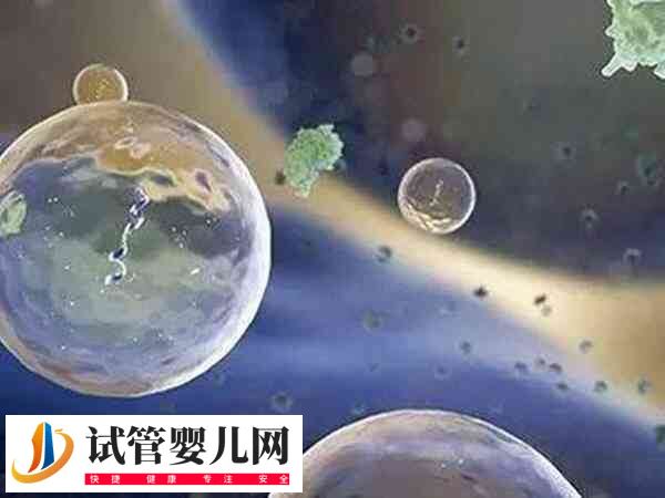 拮抗劑方案就一個卵泡是什么情況