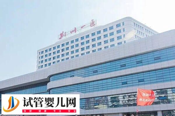 荊州不孕不育醫(yī)院哪家好(圖3)