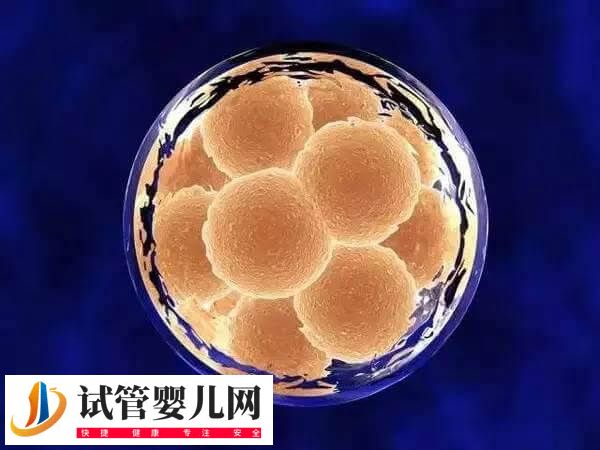 上海同濟(jì)醫(yī)院試管嬰兒多少錢(圖2) 上海同濟(jì)醫(yī)院試管嬰兒多少錢(圖2)