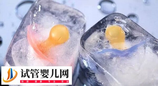 上海九院試管嬰兒需要多少錢(圖3)